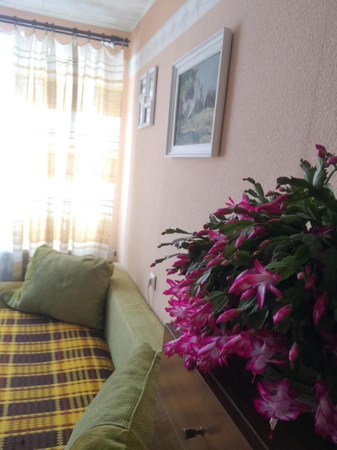 באלווי Dvinumajas Vintage B&B מראה חיצוני תמונה